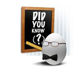 Investment Mortgages &ndash; Did you know?