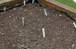 Quick Tip - How to identify what you grow