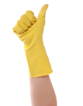 Diswasher Alternative: Hands that do dishes