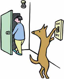 10 Ways to reduce your Household Bills