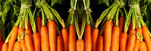 Grow your own Carrots