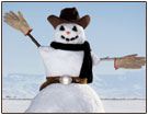 Is the snow a welcome distraction to the current economic crisis?