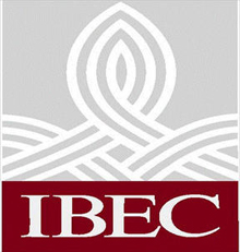 IBEC calls for tax incentives and grants for homeowners looking to renovate