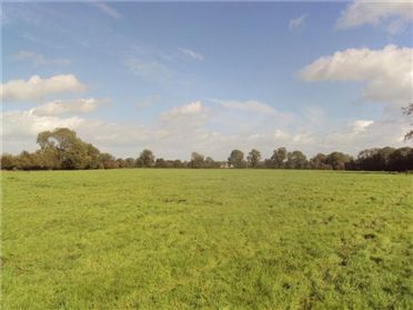 Enfield farm to go under the hammer