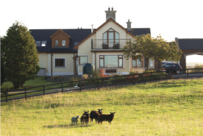 Renovation and upgrade work at Co Down home