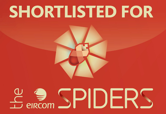 MyHome.ie nominated for Eircom Spider Award
