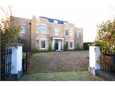 Drumm&amp;#039;s Abington home finally sells for &euro;1.34m