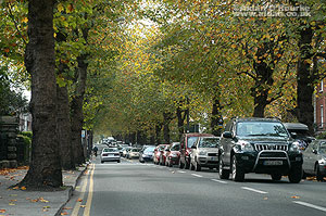 Hundreds of Dublin flats in breach of regulations