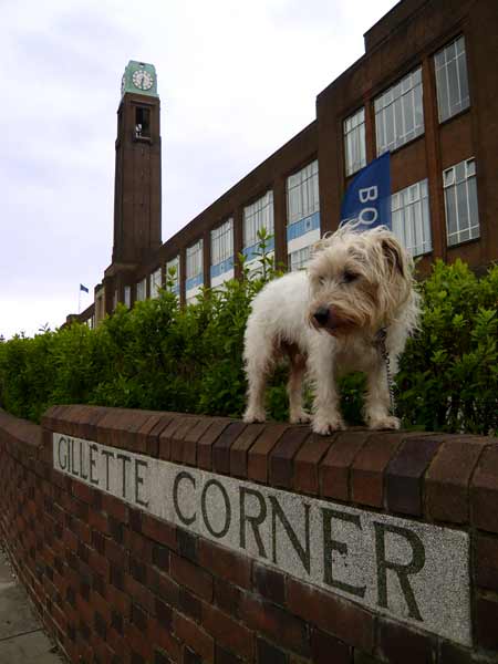 London landmark put up for sale by NAMA