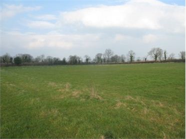 Limerick farm sells at auction for &euro;192,000