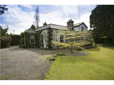 Blackrock home sells for &euro;2.9m at auction