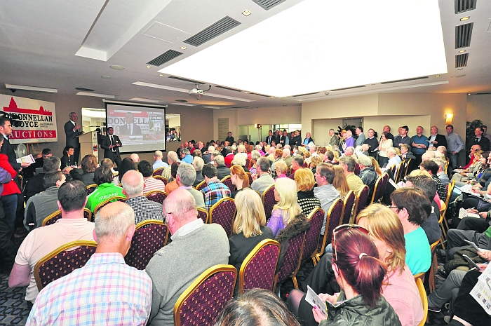 &euro;3.6m in sales recorded at Galway auction