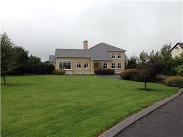 DNG prepare for another Galway auction