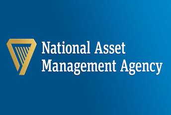 NAMA may be used to control rising property prices