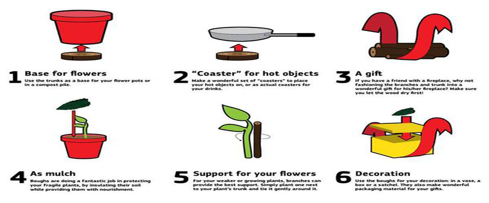 10 uses for your old Christmas tree