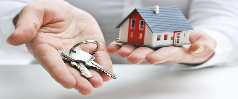 Slowdown in house-price growth masking Dublin issues, say Property Industry Ireland
