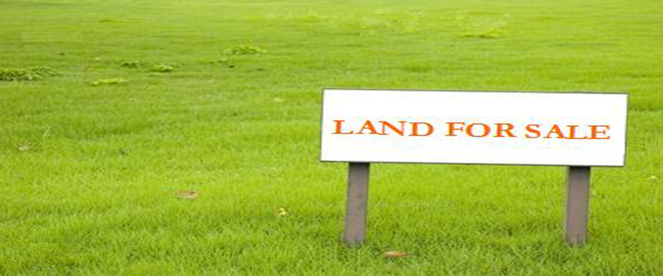 Land prices rose 5.2% last year