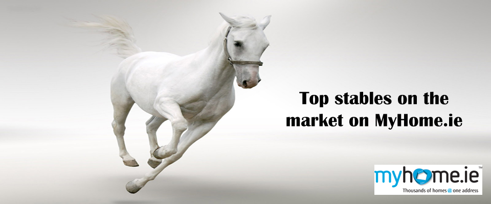 A stable market: Some of the finest stables for sale right now