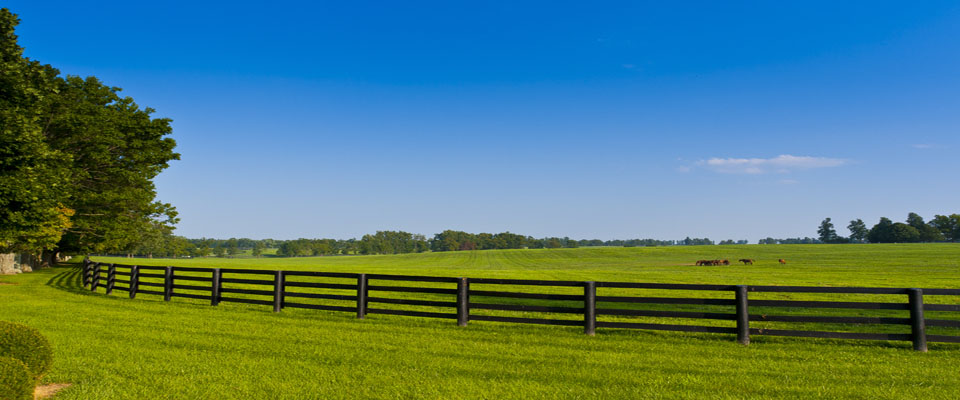 Growth in agricultural land prices continues at a moderate rate in 2015