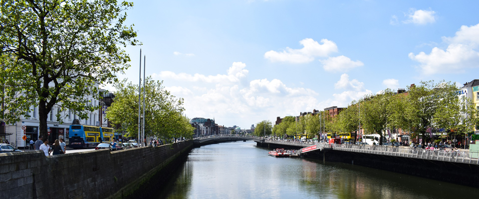 Dublin house sales fell by 1.5% last year