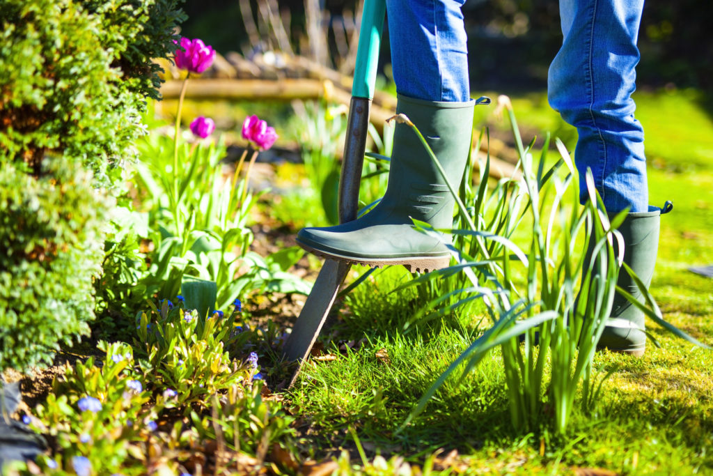 Getting your garden ready for summer