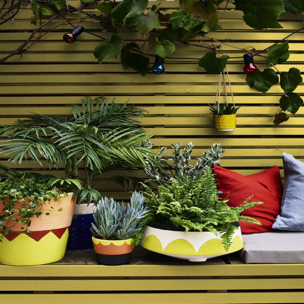 Paint Like a Pro: How to Add Colour to Your Garden with A Painted Fence