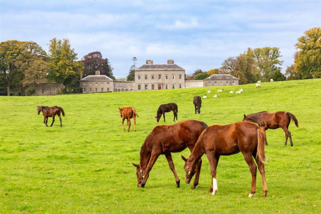 Five of the best homes for horses