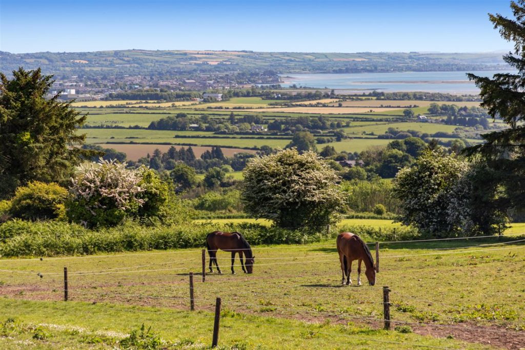 Five of the best homes for a horse